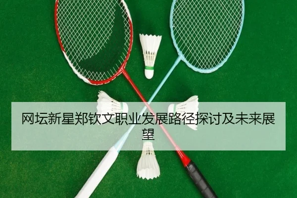 网坛新星郑钦文职业发展路径探讨及未来展望
